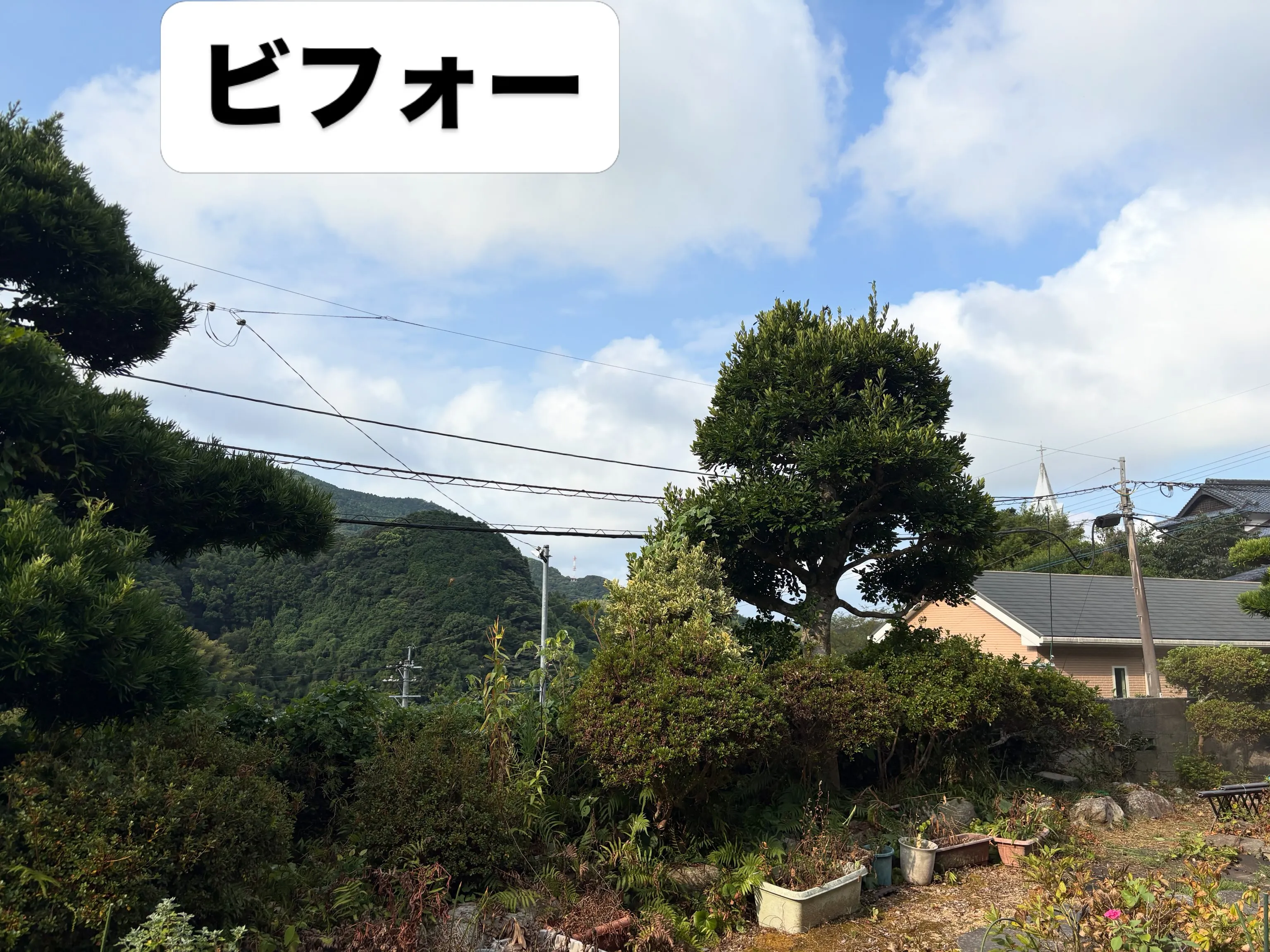 お久しぶりです❗️いなお造園です👨‍🌾