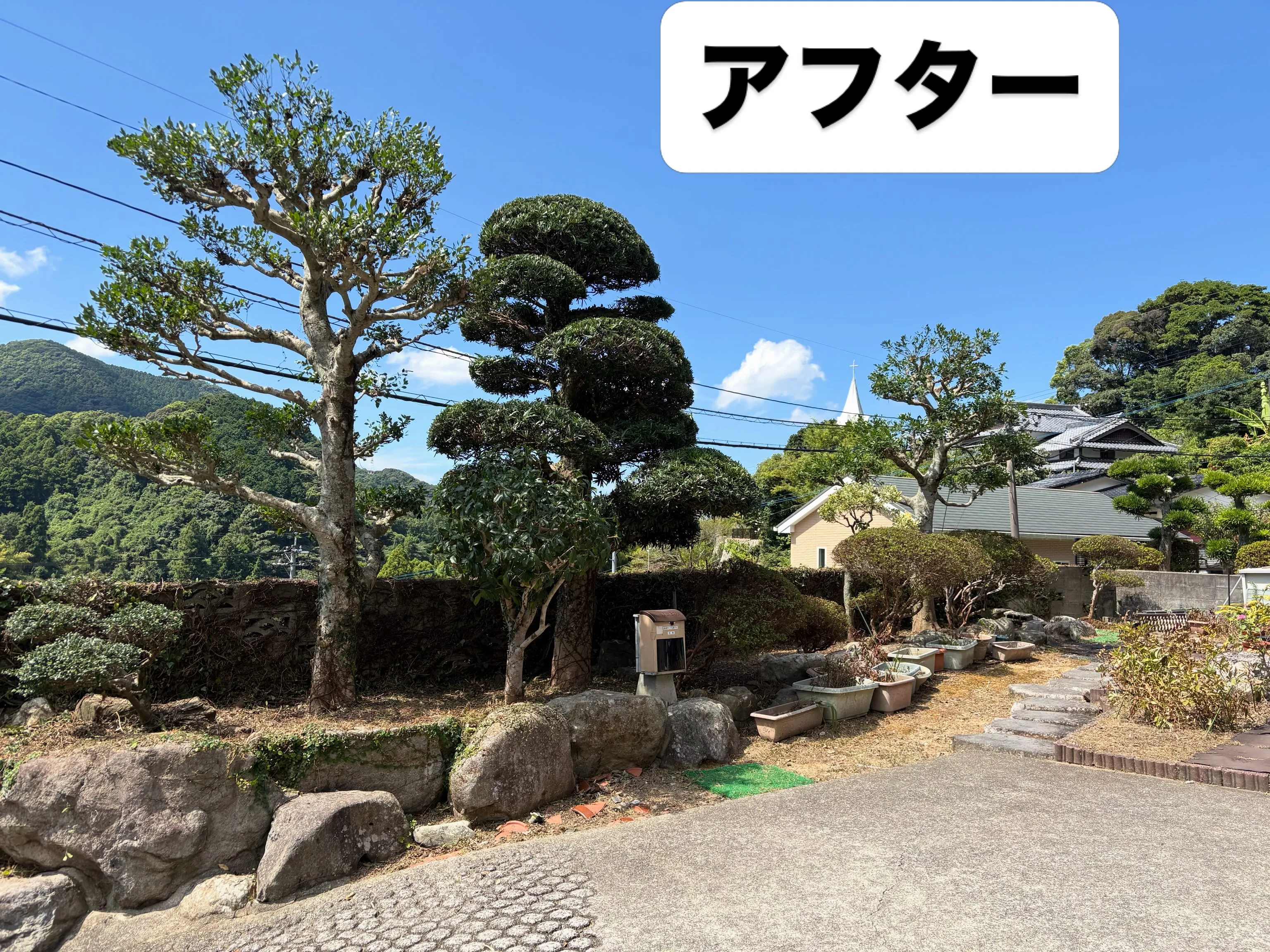 お久しぶりです❗️いなお造園です👨‍🌾