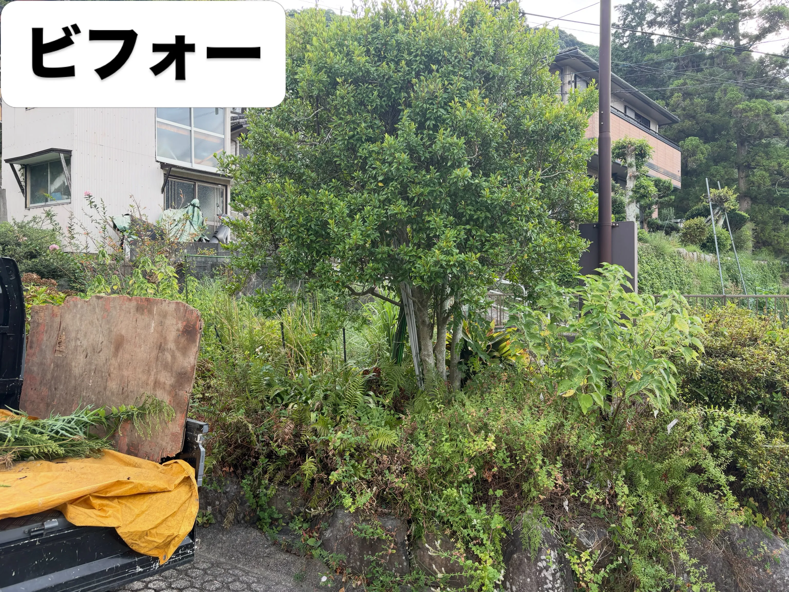 お久しぶりです❗️いなお造園です👨‍🌾