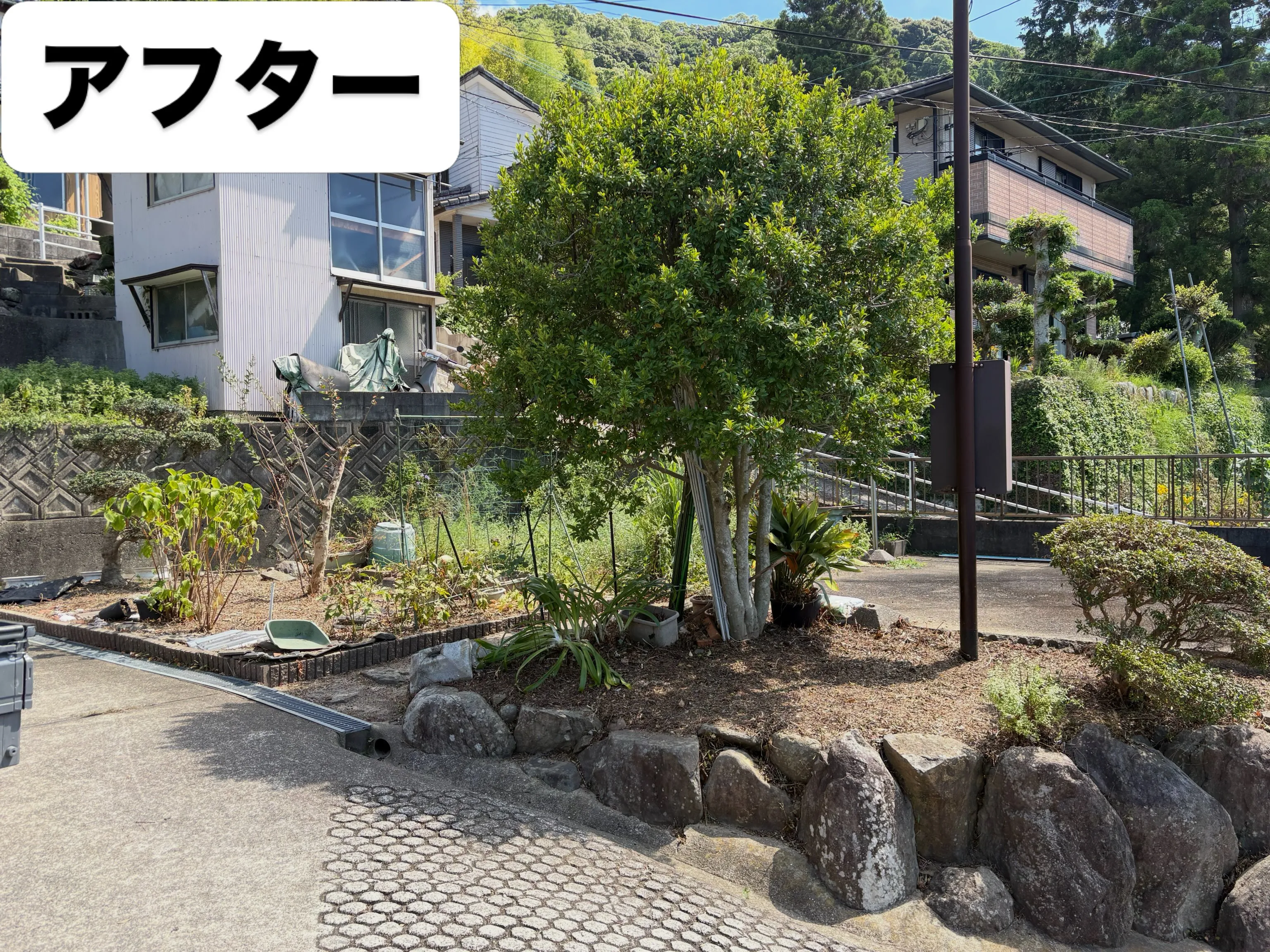 お久しぶりです❗️いなお造園です👨‍🌾