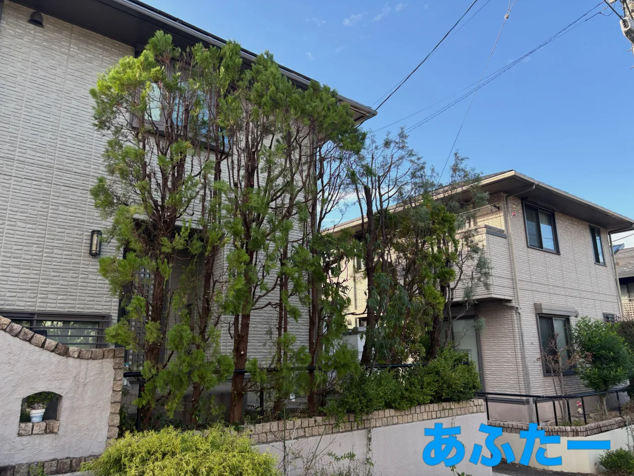 こんばんは🌆いなお造園です❗️