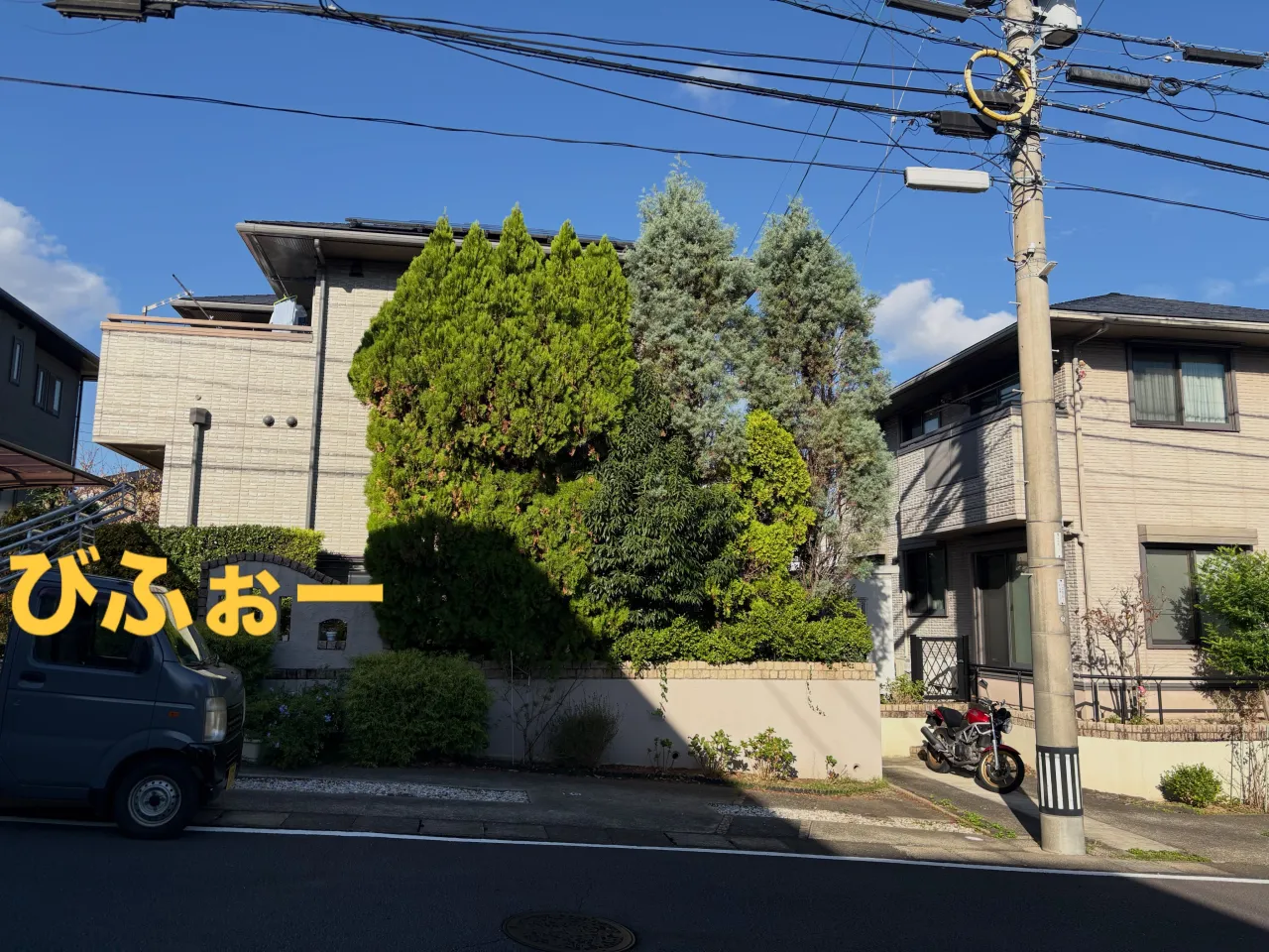 こんばんは🌆いなお造園です❗️