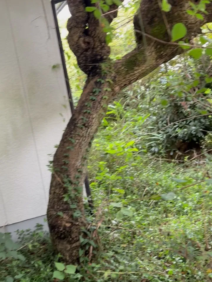 こんにちは😃