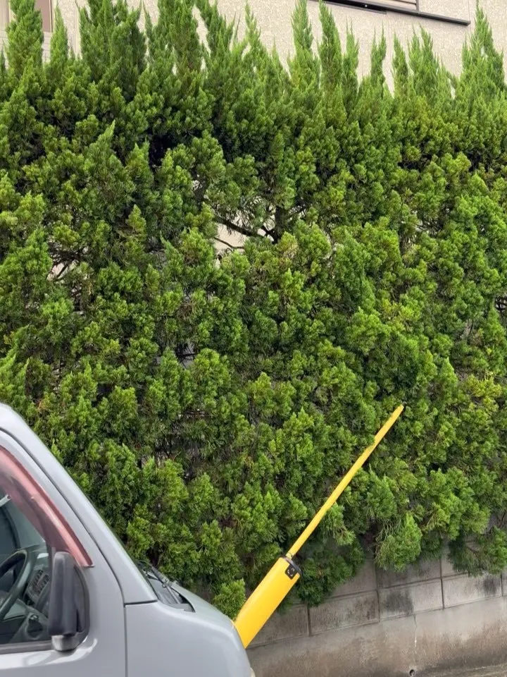 こんばんは❗️いなお造園です😊