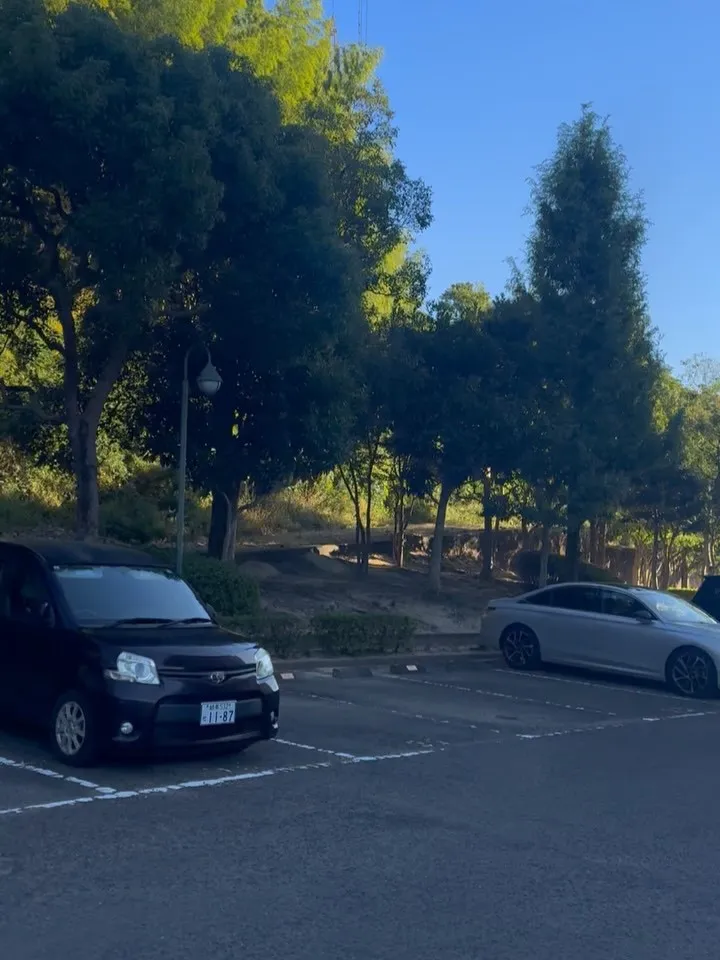 こんばんは❗️いなお造園です😊