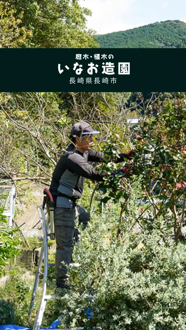 こんばんは🌆いなお造園です！